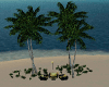 ! Beach Trees.