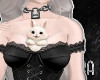 𝖔 my bunny