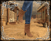 *msj* Urban Cowgirl Boot