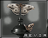 R║ Moth Display
