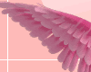 !L! V.S. Angel wings