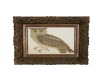 Antique Framed Owl