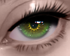 Eye Siren  17