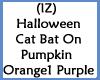 Cat Bat On Pumpkins O1Pu