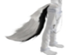 ~Blk*Wht*Wolf*Tail~