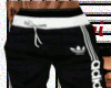 panta