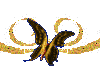 Golden butterfly anim.