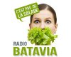 AfficheRadio Batavia