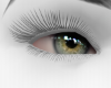 🖤Blue Eyes Realistic5