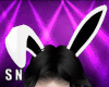 N. Bunny Ears Animated