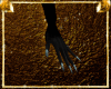 Claws ~ Delicate Wind