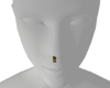 worm