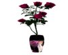 Betty Boop Rose Vases