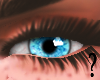 S- Blue Eye F