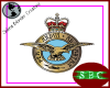 Royal Air Force Pin