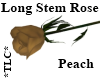 *TLC*LongStem Rose Peach