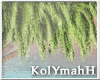 KYH | XOXO palms