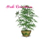 Weed Plant Marijuana