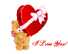 Valentine gift heart
