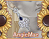 AM* Daniela Earrings