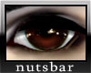 n: DOsexy choco/m