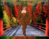 (MN)SPORT FALL
