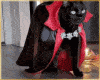 🥷Red Black Cloak