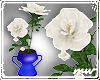 !Roses white cobaltvase