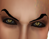 (DeV)2017 Latin EyeBrows