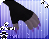 [Pets] Moia | claws