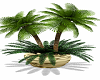 elegant palm plant