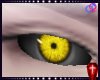Ê Awoken 6 (eyes)
