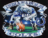 {SS} Indy Colts Pic 6