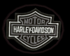 2013 Harley Rug V