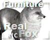 R|C Fox Grey FV