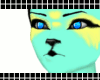 {C} Sunshine Fur (m)