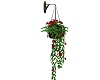 Red Hanging Flowers