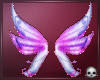 [T69Q] Musa Bloomix Wing