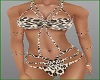 WILD Cat BIKINI