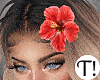 T! Summer Set v1 Bundle
