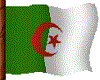 flag algeria,drapeau