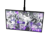 HANGING CEILING TV