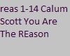 Calum Scott U R REason