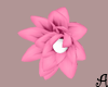 A| Spring Flower Pink