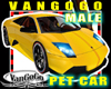 VG 2019 PET Car Avi MALE