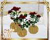 3 red Roses Bushes in go