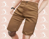 L: Brown Short Pants