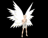 White & Gold Angel Wings