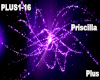 Priscilla - Plus