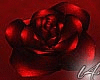 [L4] Rug  Rose Petals